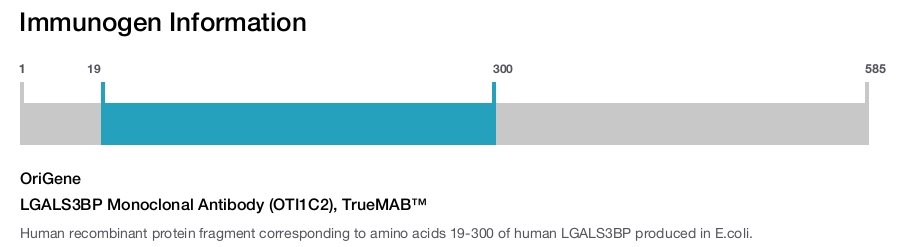 LGALS3BP Monoclonal Antibody (OTI1C2), TrueMAB&trade;
