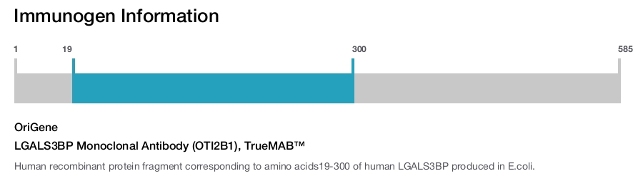 LGALS3BP Monoclonal Antibody (OTI2B1), TrueMAB&trade;