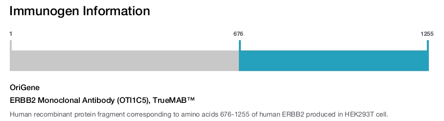 ERBB2 Monoclonal Antibody (OTI1C5), TrueMAB&trade;