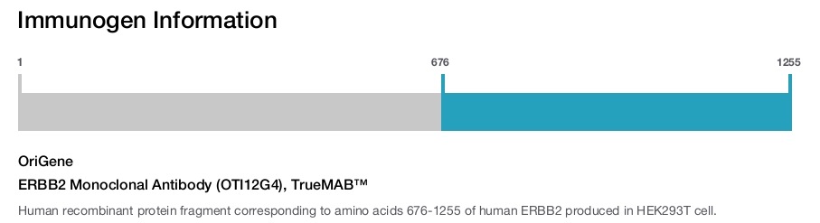 ERBB2 Monoclonal Antibody (OTI12G4), TrueMAB&trade;