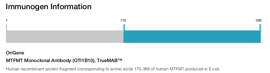 MTFMT Monoclonal Antibody (OTI1B10), TrueMAB&trade;