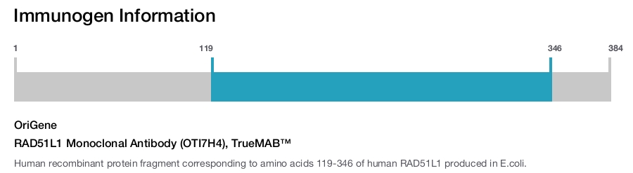 RAD51L1 Monoclonal Antibody (OTI7H4), TrueMAB&trade;