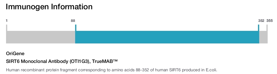 SIRT6 Monoclonal Antibody (OTI1G3), TrueMAB&trade;