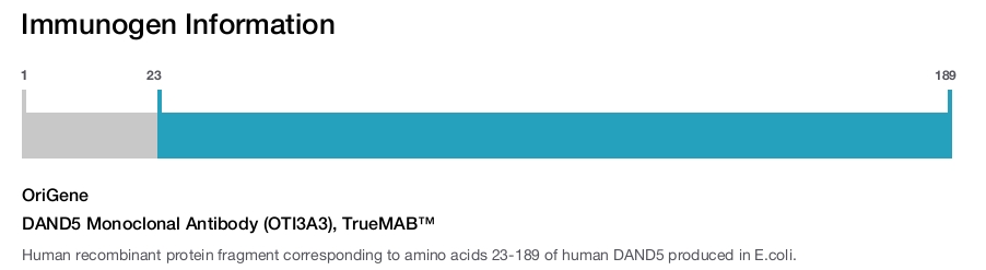 DAND5 Monoclonal Antibody (OTI3A3), TrueMAB&trade;