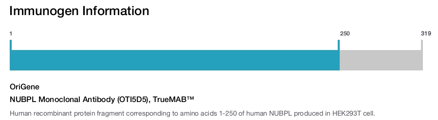NUBPL Monoclonal Antibody (OTI5D5), TrueMAB&trade;
