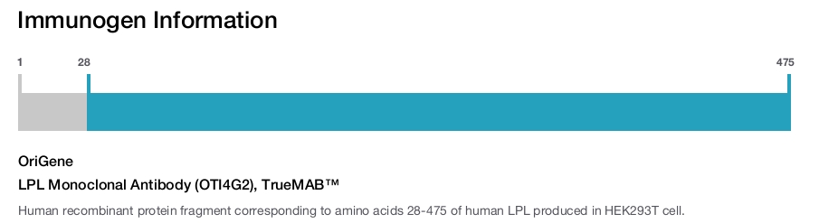 LPL Monoclonal Antibody (OTI4G2), TrueMAB&trade;