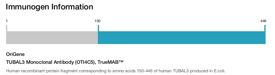 TUBAL3 Monoclonal Antibody (OTI4C5), TrueMAB&trade;