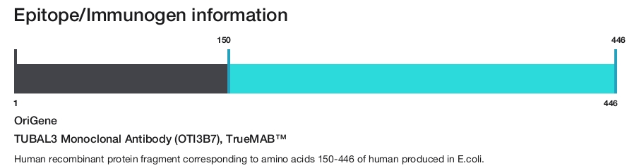 TUBAL3 Monoclonal Antibody (OTI3B7), TrueMAB&trade;
