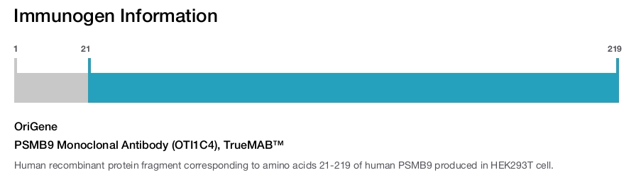 PSMB9 Monoclonal Antibody (OTI1C4), TrueMAB&trade;