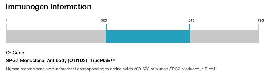 SPG7 Monoclonal Antibody (OTI1D3), TrueMAB&trade;