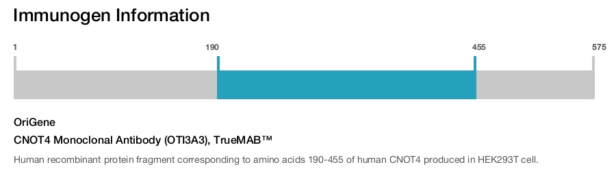 CNOT4 Monoclonal Antibody (OTI3A3), TrueMAB&trade;