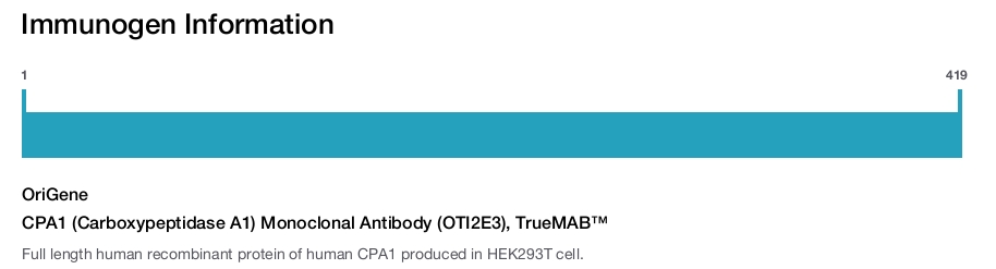 CPA1 (Carboxypeptidase A1) Monoclonal Antibody (OTI2E3), TrueMAB&trade;