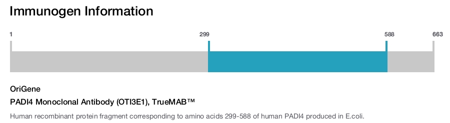 PADI4 Monoclonal Antibody (OTI3E1), TrueMAB&trade;
