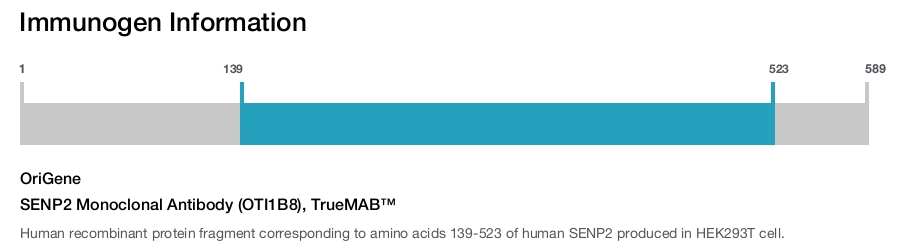 SENP2 Monoclonal Antibody (OTI1B8), TrueMAB&trade;