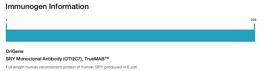 SRY Monoclonal Antibody (OTI2C7), TrueMAB&trade;