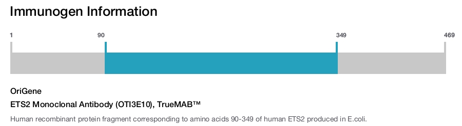ETS2 Monoclonal Antibody (OTI3E10), TrueMAB&trade;