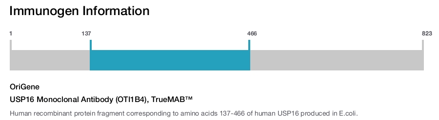 USP16 Monoclonal Antibody (OTI1B4), TrueMAB&trade;