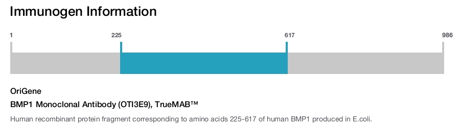 BMP1 Monoclonal Antibody (OTI3E9), TrueMAB&trade;