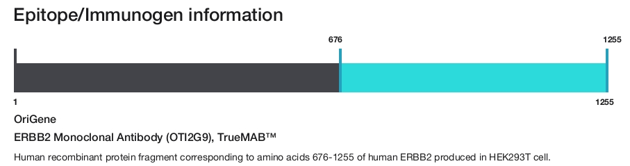 ERBB2 Monoclonal Antibody (OTI2G9), TrueMAB&trade;
