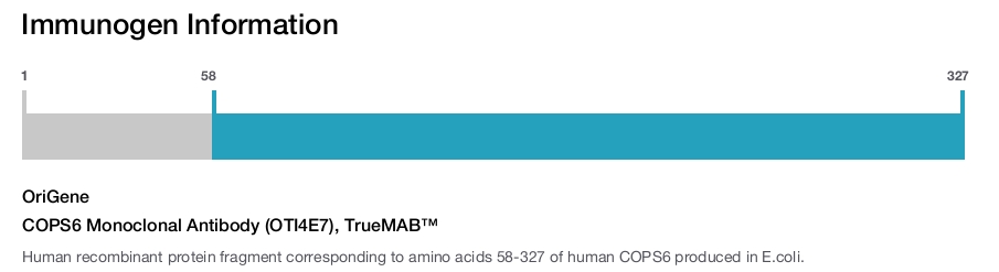 COPS6 Monoclonal Antibody (OTI4E7), TrueMAB&trade;