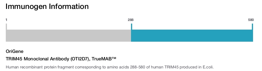 TRIM45 Monoclonal Antibody (OTI2D7), TrueMAB&trade;