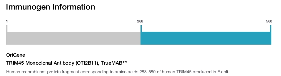 TRIM45 Monoclonal Antibody (OTI2B11), TrueMAB&trade;