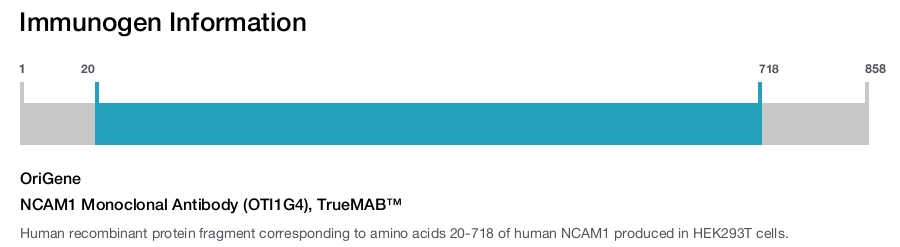 NCAM1 Monoclonal Antibody (OTI1G4), TrueMAB&trade;
