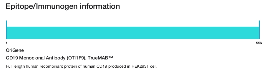 CD19 Monoclonal Antibody (OTI1F9), TrueMAB&trade;