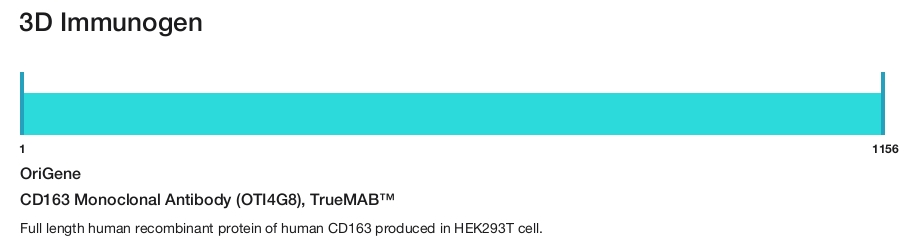 CD163 Monoclonal Antibody (OTI4G8), TrueMAB&trade;