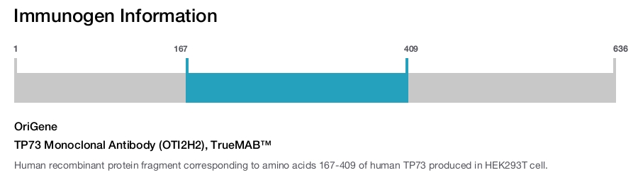 TP73 Monoclonal Antibody (OTI2H2), TrueMAB&trade;