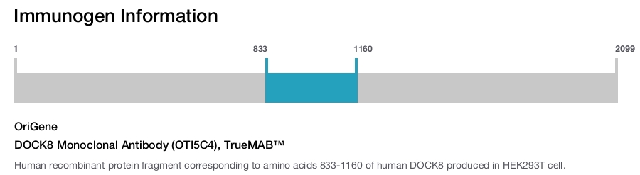 DOCK8 Monoclonal Antibody (OTI5C4), TrueMAB&trade;