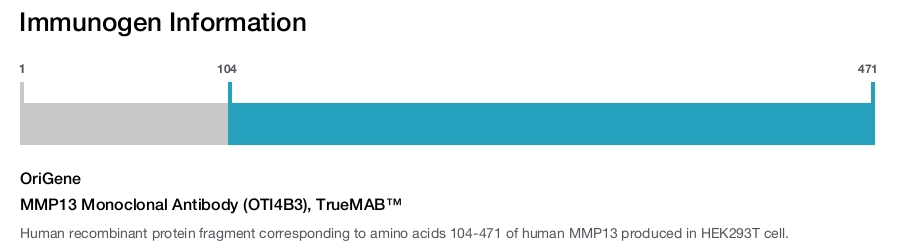 MMP13 Monoclonal Antibody (OTI4B3), TrueMAB&trade;