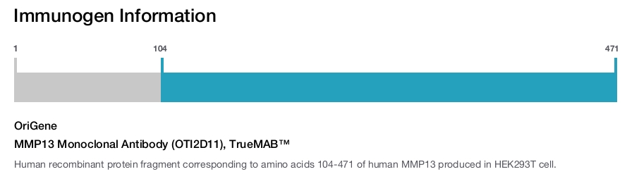 MMP13 Monoclonal Antibody (OTI2D11), TrueMAB&trade;