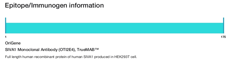 SIVA1 Monoclonal Antibody (OTI2E4), TrueMAB&trade;