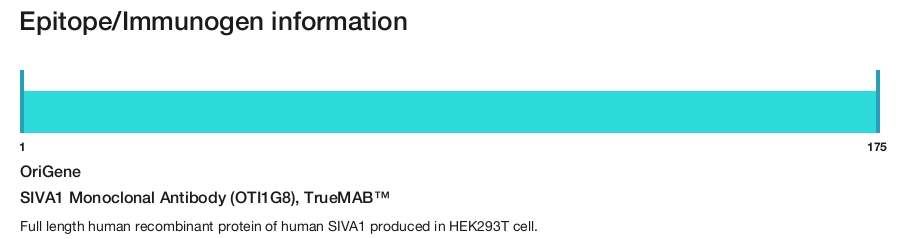 SIVA1 Monoclonal Antibody (OTI1G8), TrueMAB&trade;