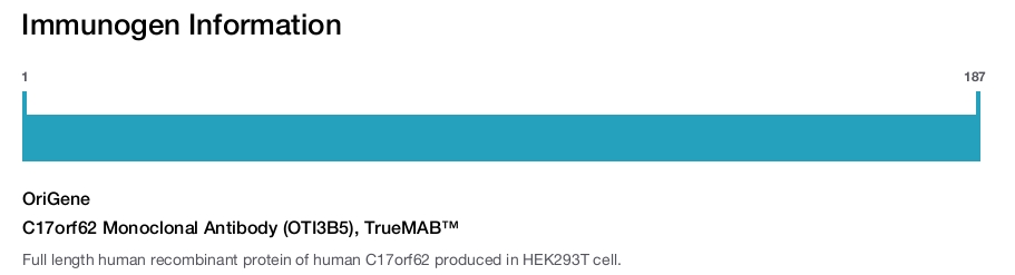 C17orf62 Monoclonal Antibody (OTI3B5), TrueMAB&trade;