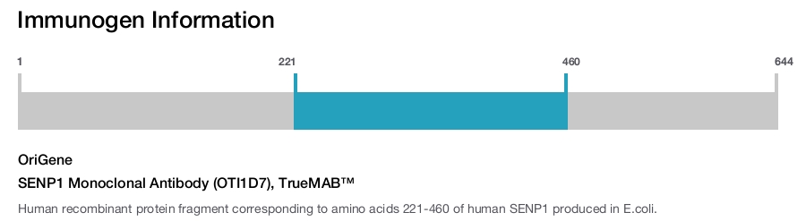 SENP1 Monoclonal Antibody (OTI1D7), TrueMAB&trade;