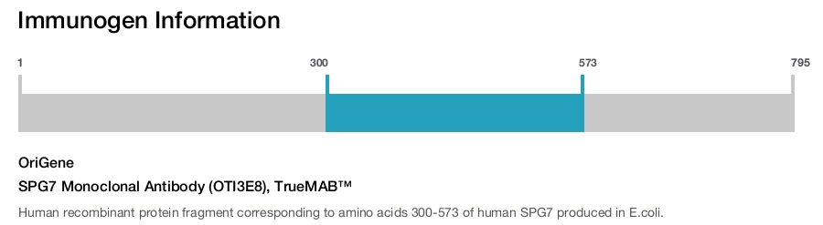SPG7 Monoclonal Antibody (OTI3E8), TrueMAB&trade;