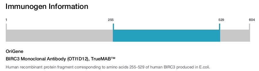 BIRC3 Monoclonal Antibody (OTI1D12), TrueMAB&trade;