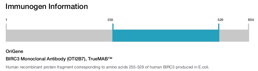 BIRC3 Monoclonal Antibody (OTI2B7), TrueMAB&trade;