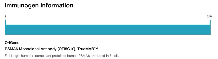 PSMA6 Monoclonal Antibody (OTI5G10), TrueMAB&trade;