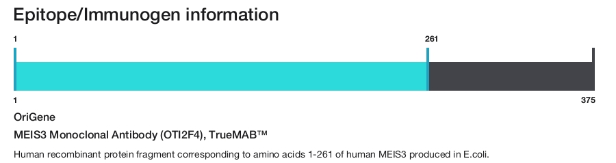 MEIS3 Monoclonal Antibody (OTI2F4), TrueMAB&trade;
