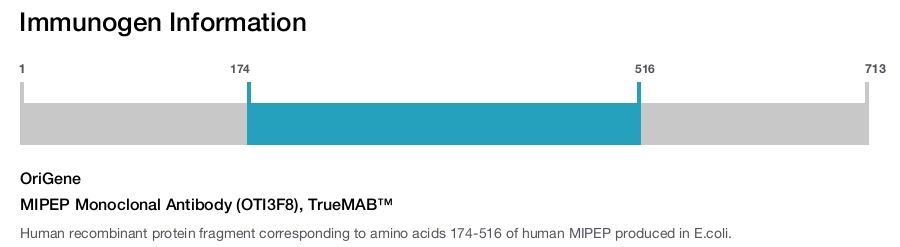 MIPEP Monoclonal Antibody (OTI3F8), TrueMAB&trade;