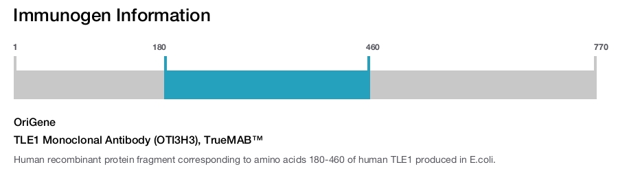 TLE1 Monoclonal Antibody (OTI3H3), TrueMAB&trade;