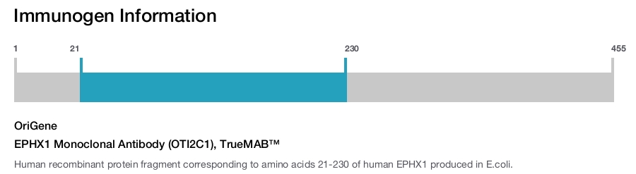 EPHX1 Monoclonal Antibody (OTI2C1), TrueMAB&trade;
