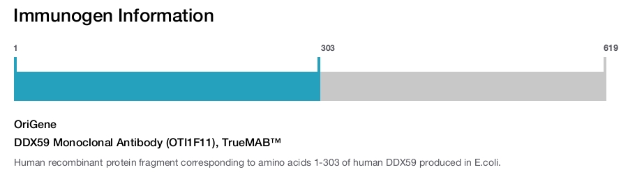 DDX59 Monoclonal Antibody (OTI1F11), TrueMAB&trade;