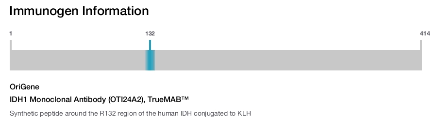 IDH1 Monoclonal Antibody (OTI24A2), TrueMAB™