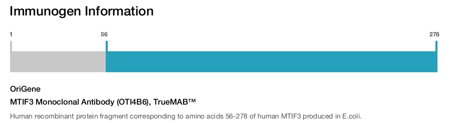 MTIF3 Monoclonal Antibody (OTI4B6), TrueMAB&trade;