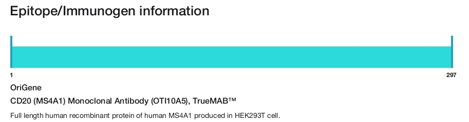 CD20 (MS4A1) Monoclonal Antibody (OTI10A5), TrueMAB&trade;