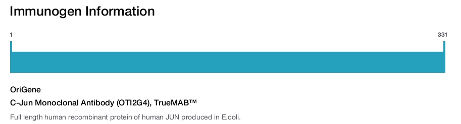 C-Jun Monoclonal Antibody (OTI2G4), TrueMAB&trade;
